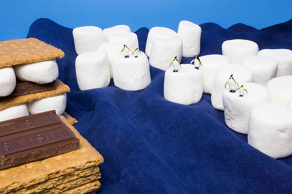 Pause for S'Mores
